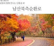 공원과 함께 만나는 단풍길 | 풍경 사진, 자연, 한국