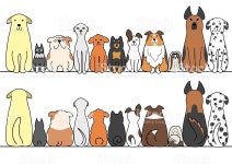 dogs-in-a-row-with-copy-spacefront-and-back-vector-id471042532 (1024×726) | 귀여운 동물 그림, 강아지, 동물