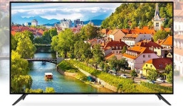 이엔티비 4K UHD (2160p) 138 cm 무결점 TV EN-SL550U - 2020 | 개, 새