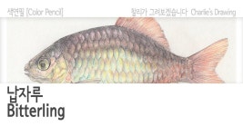 찰리 그림Charlies Drawing에 있는 charlie kim님의 핀 | 색연필, 그림, 색