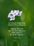 모두 공상 같은 말씀을 했지만, 선생님이 이미 다 이루었습니다… #문선명총재 #한학자총재 #천성경【2023】