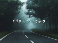 인생은 나그네길 같은 것 | 하지