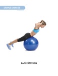 Stability Ball Exercise Workout Poster - Laminated - 19x27(이미지 포함) | 필라테스