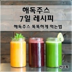 해독주스 7일 레시피 | Detox juice recipes, Diet, Health