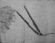 t117 B texture 김민지 45