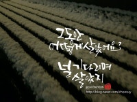 감성가득한 캘리그라피 글귀 : 네이버 블로그 | 손글씨 문구, 멋진 문구, 크리스마스 카드