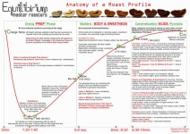 roasting profile - Google 검색 | 커피 로스팅, 프로파일