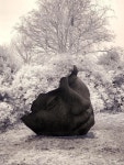 공공디자인을 위한 조형물 디자인 사례(이미지 포함) | 예술 조각, 조각상, 예술