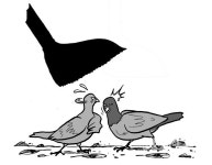 Pin on 그림책만들기