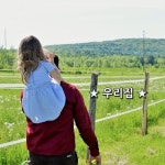 멀리 밖에 나와 우리집을 바라보면 잠시 낯설다가 오래 그리운 마음  가족들과 함께한 웃음과 눈물 서로 못마땅해서 언성을 … | 사람들, 좋은 글귀