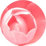 푸르지오웹진(Prugio Webzine)