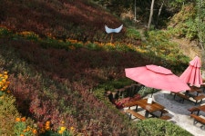 말씀전원교회(Logos Garden Church)입니다. 해븐게이트, 연리지, 약수터, 팔복 묵상길, 숲속… | 아름다운, 수원, 놀이터