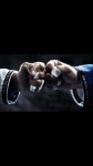 Kimheeda김민채님의 judo | 주짓수, 유도, 포즈 참조