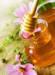 I love this photo of the golden nectar...honey. | 꿀