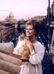 Pin von 박장호 auf Sophia loren | Filmstars, Alte fotos, Katzenliebhaber