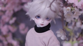 소곰하 인덕계 on Twitter | Anime dolls, Hunter anime, Nendoroid anime