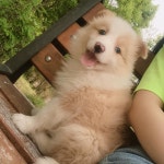 잘 커준 우리 멈무 open the link for more | Buy pets, Pets, Love pet