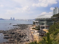 동백섬23.03.20 - 2023 | 여행사진