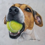 Pin by mj m on 실기 in 2022 | Dog portraits art, Realistic art, Dog paintings