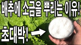 농업에 있는 영호님의 핀 - 2022 | 농업