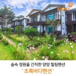 숲속 정원을 간직한 양양 힐링펜션 초록바다펜션 | Cores, Coreia do sul
