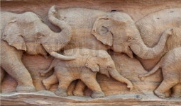 부조에 있는 임선열님의 핀