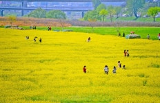 Pin on 유용한 경제 정보들