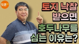 경매에 있는 핀