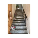 Sun - 별나무 Cafe 내부 • 주소: 경기도 수원시 팔달구 세류로 77-1 1,2층 • 오픈: 오전 11시 - 오후 10시 • 사진... 