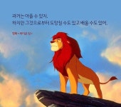 안경쓴날 님의 포스팅 | 라이언킹, 재미있는 문구, 예쁜 말