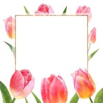 업로드한 파일 | 수채화 아이디어, 코스모스 꽃, 수채화