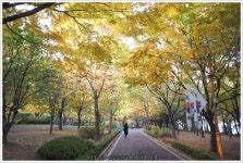 도산공원 (Dosan Park) , 서울특별시
