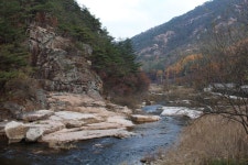 Workshop 속리산 자연펜션(이미지 포함)