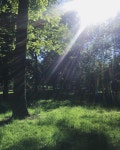 프라하 레트나공원 햇살 Praha letna park . .  프라하 공원 여름 햇살  praha park europe sunny | Instagram posts, Instagram... 