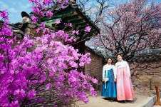 Seoul Travel Bits | SEOUL Magazine | 수채화