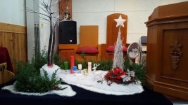 서동 비전중앙교회에서의성탄절 강단장식 | 꽃꽂이