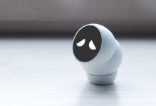 Grazina Bockute | 디자인, 로봇, 거북이