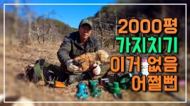 가지치기_전지할때 이거 없었으면 손가락 쥐나요 역시 농사도 장비가 있어야죠 - 2023 | 전지