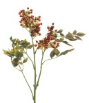 Natural Decorations, Inc. - Nandina 37 | Box of 12 Stems | 식물