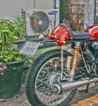 BIKE에 있는 낙희 성님의 핀