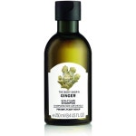 [리뷰] 바디 샵 생강 두피 케어 샴푸 8.4 플루이드 온스 | 샴푸