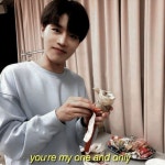 𝒕𝒂𝒆𝒊𝒍 / 태일
