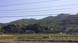 Country side in Shimonoseki. 시골 풍경. | 시골, 여행, 일본