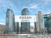 [부산여행 Ep 2] 해운대 센텀시티, 신세계, 맛집, 벡스코 | Asia travel, Travel, New york skyline