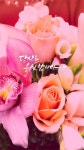 당신을 응원합니다. 토닥토닥 Calligraphy by 림.... | 꽃