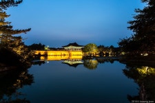 Anapji Pond (안압지) at night | South korea, House styles, Mansions
