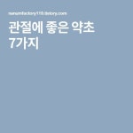 관절에 좋은 약초 7가지 | Boarding pass