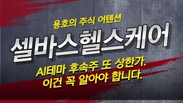 AI관련주 테마 후속주 셀바스헬스케어 주가 상승. 중요한건.. - 2023