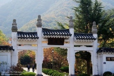 [경주 가볼만한 곳]은행나무가 아름다운 경주 용담정(동학 발상지) | Outdoor, Pergola, Outdoor structures