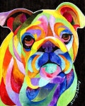 BULLDOG 8X10 DOG print by Artist Sherry Shipley | 팝아트